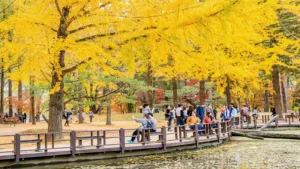 Yellow Spring Road: A Complete Guide to Japan’s Scenic Hidden Gem